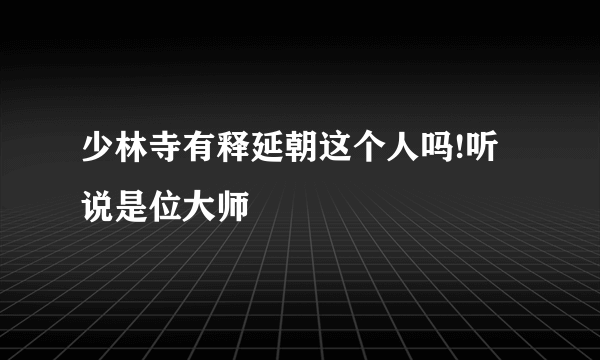 少林寺有释延朝这个人吗!听说是位大师