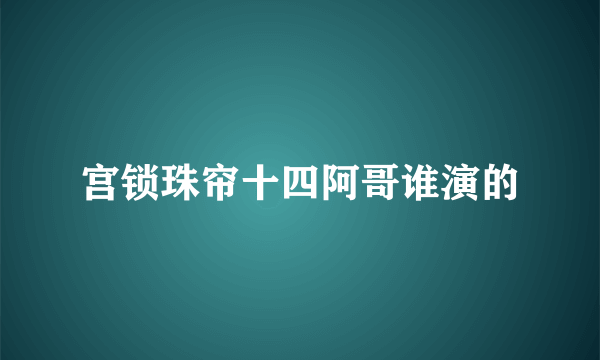 宫锁珠帘十四阿哥谁演的