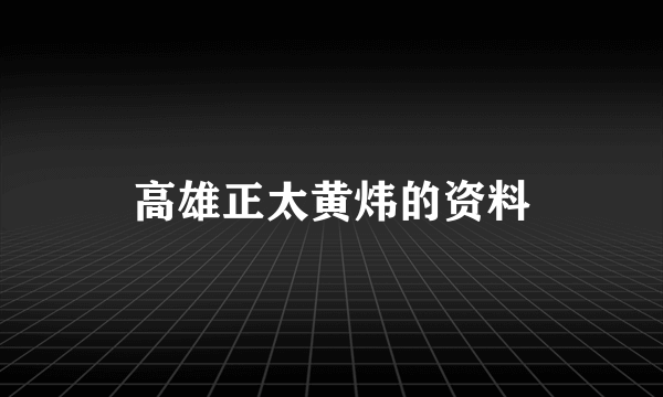 高雄正太黄炜的资料