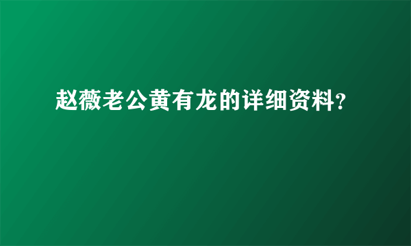 赵薇老公黄有龙的详细资料？