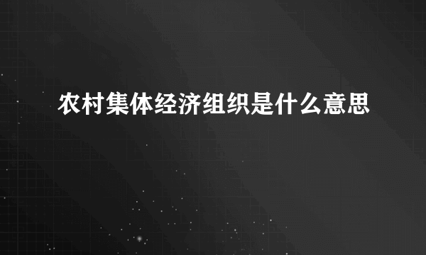 农村集体经济组织是什么意思