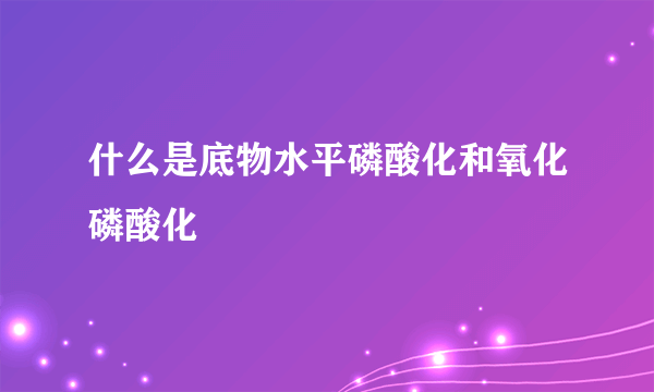 什么是底物水平磷酸化和氧化磷酸化