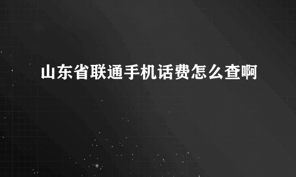 山东省联通手机话费怎么查啊