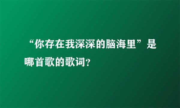 “你存在我深深的脑海里”是哪首歌的歌词？