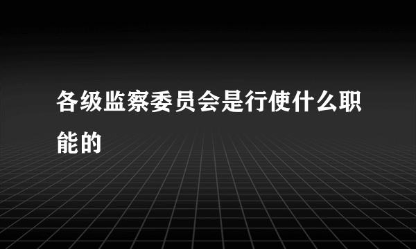 各级监察委员会是行使什么职能的