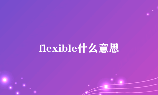 flexible什么意思