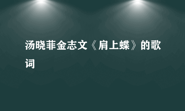 汤晓菲金志文《肩上蝶》的歌词