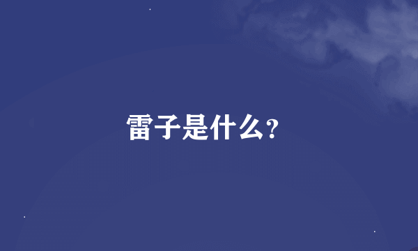 雷子是什么？