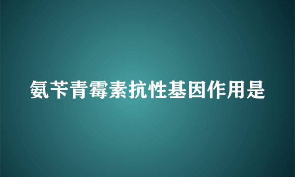 氨苄青霉素抗性基因作用是