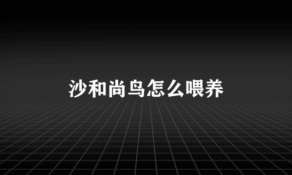 沙和尚鸟怎么喂养