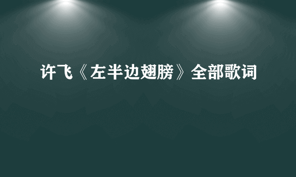 许飞《左半边翅膀》全部歌词