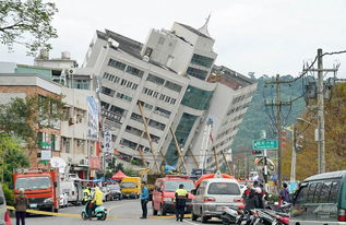 台湾地震小朋友第一时间选择救猫，你觉得他该不该这么做？