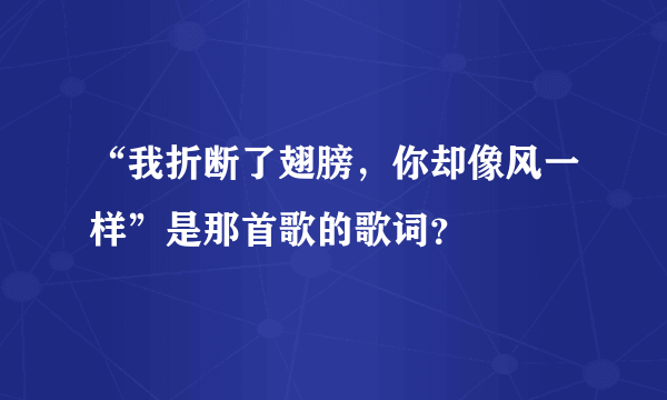 “我折断了翅膀，你却像风一样”是那首歌的歌词？