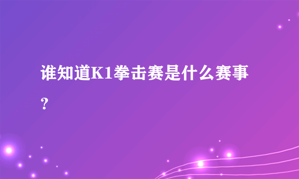 谁知道K1拳击赛是什么赛事？