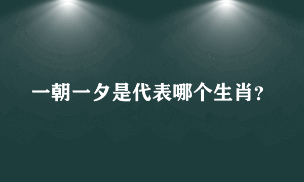 一朝一夕是代表哪个生肖？