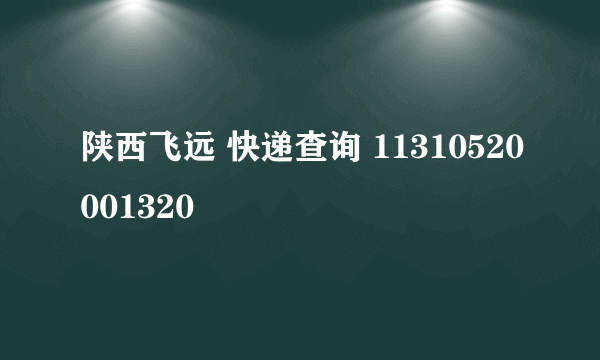 陕西飞远 快递查询 11310520001320