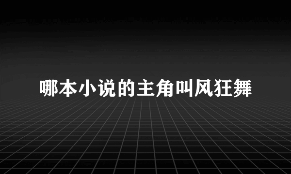 哪本小说的主角叫风狂舞