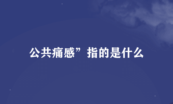 公共痛感”指的是什么