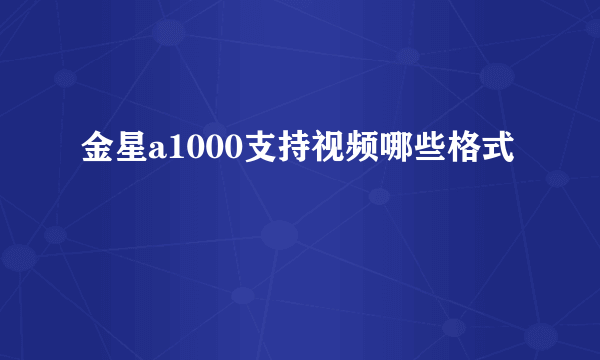 金星a1000支持视频哪些格式