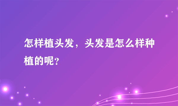 怎样植头发，头发是怎么样种植的呢？