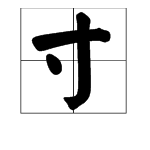 给“寸”字加偏旁，并组词。