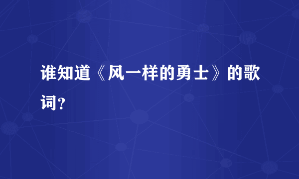 谁知道《风一样的勇士》的歌词？