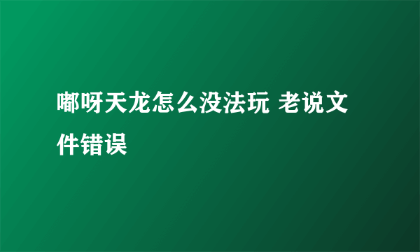 嘟呀天龙怎么没法玩 老说文件错误