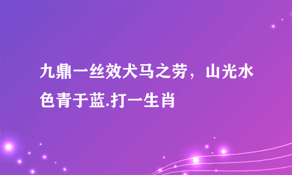 九鼎一丝效犬马之劳，山光水色青于蓝.打一生肖