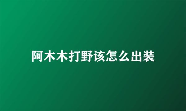 阿木木打野该怎么出装