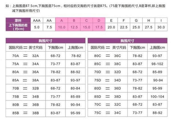 内衣尺码34什么意思