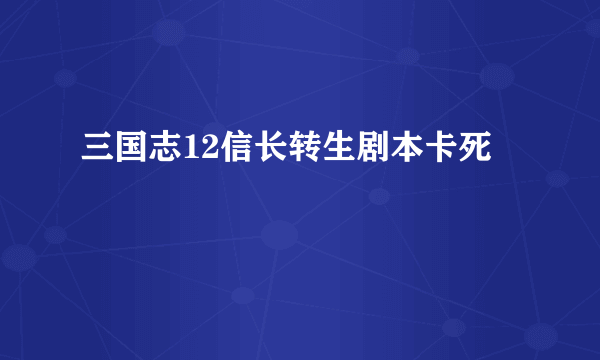 三国志12信长转生剧本卡死