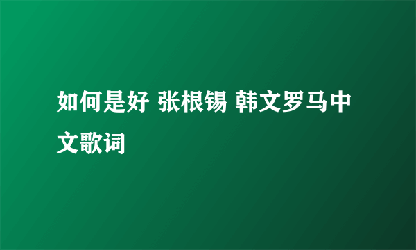 如何是好 张根锡 韩文罗马中文歌词