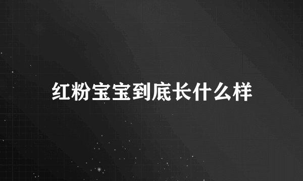 红粉宝宝到底长什么样