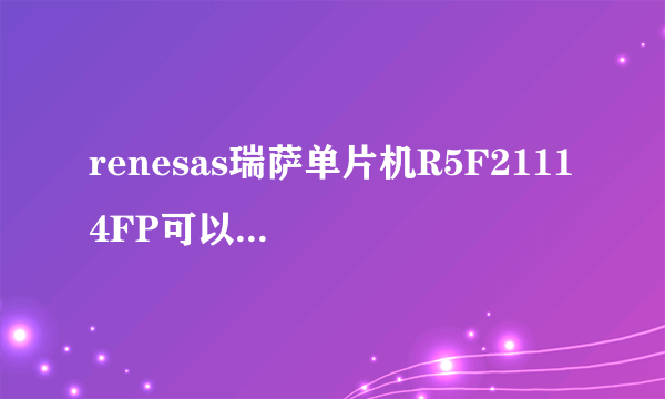 renesas瑞萨单片机R5F2111 4FP可以程序破解吗？