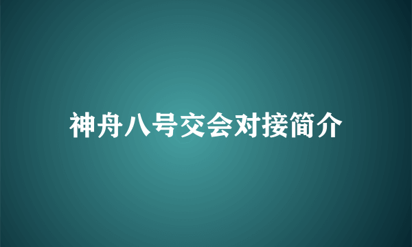 神舟八号交会对接简介