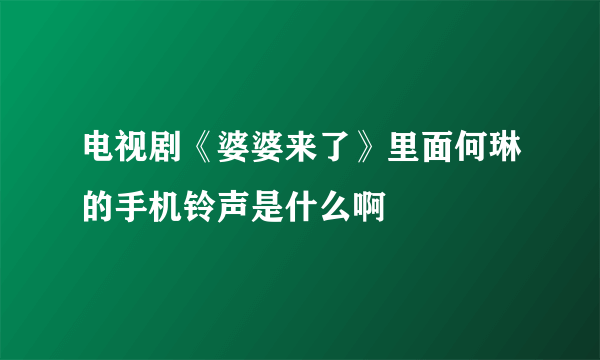 电视剧《婆婆来了》里面何琳的手机铃声是什么啊