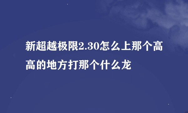 新超越极限2.30怎么上那个高高的地方打那个什么龙