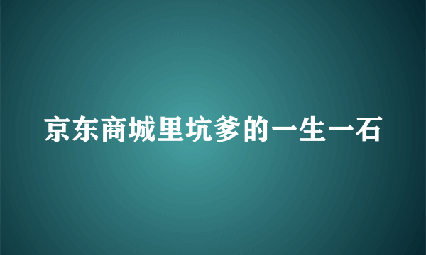 京东商城里坑爹的一生一石