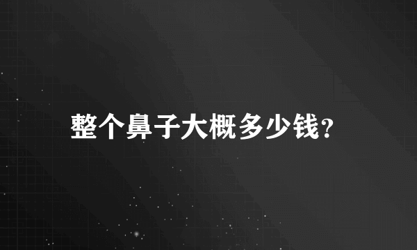 整个鼻子大概多少钱？