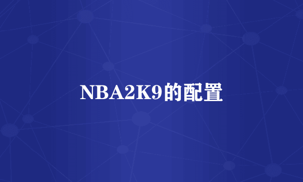 NBA2K9的配置