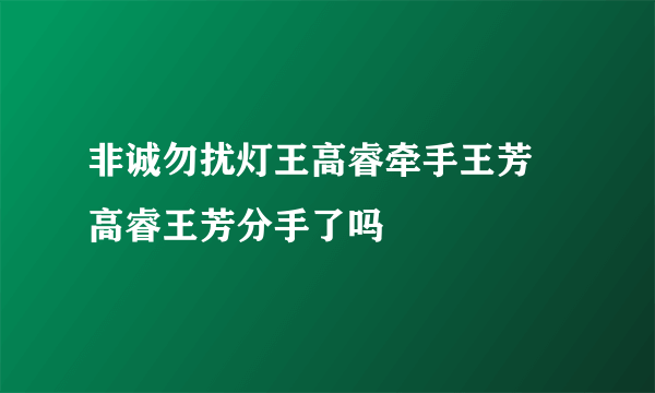 非诚勿扰灯王高睿牵手王芳 高睿王芳分手了吗