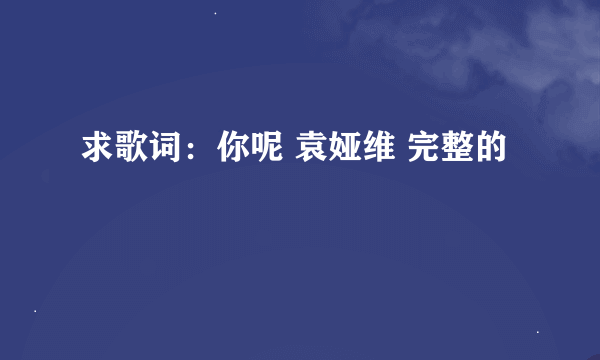 求歌词：你呢 袁娅维 完整的