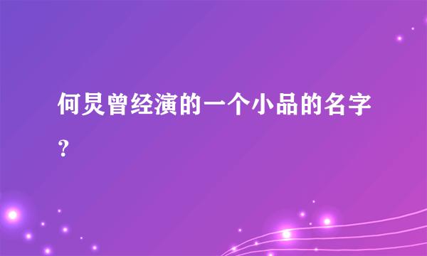 何炅曾经演的一个小品的名字？