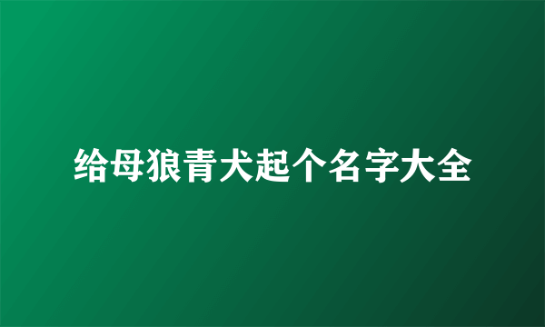 给母狼青犬起个名字大全