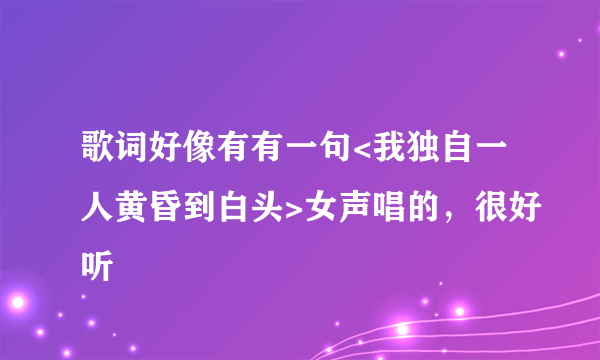 歌词好像有有一句<我独自一人黄昏到白头>女声唱的，很好听