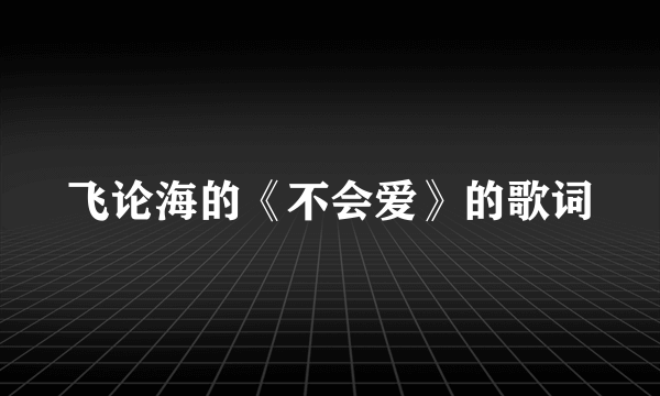 飞论海的《不会爱》的歌词