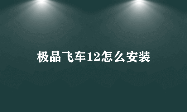 极品飞车12怎么安装