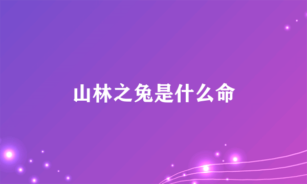 山林之兔是什么命