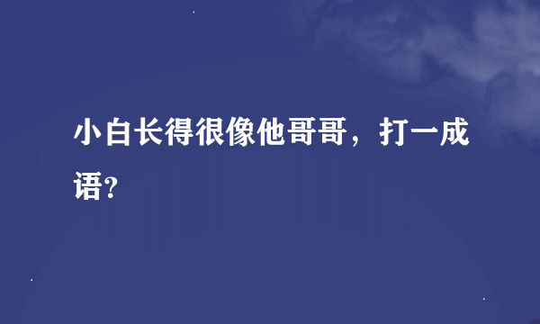 小白长得很像他哥哥，打一成语？