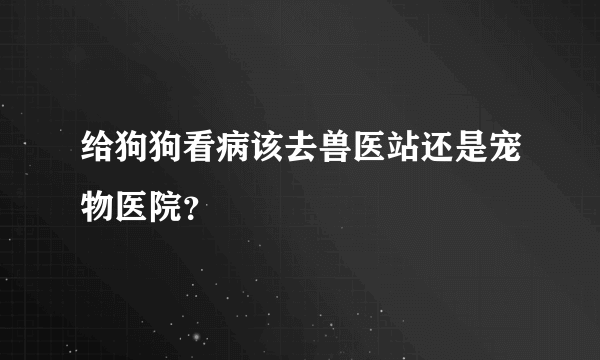 给狗狗看病该去兽医站还是宠物医院？